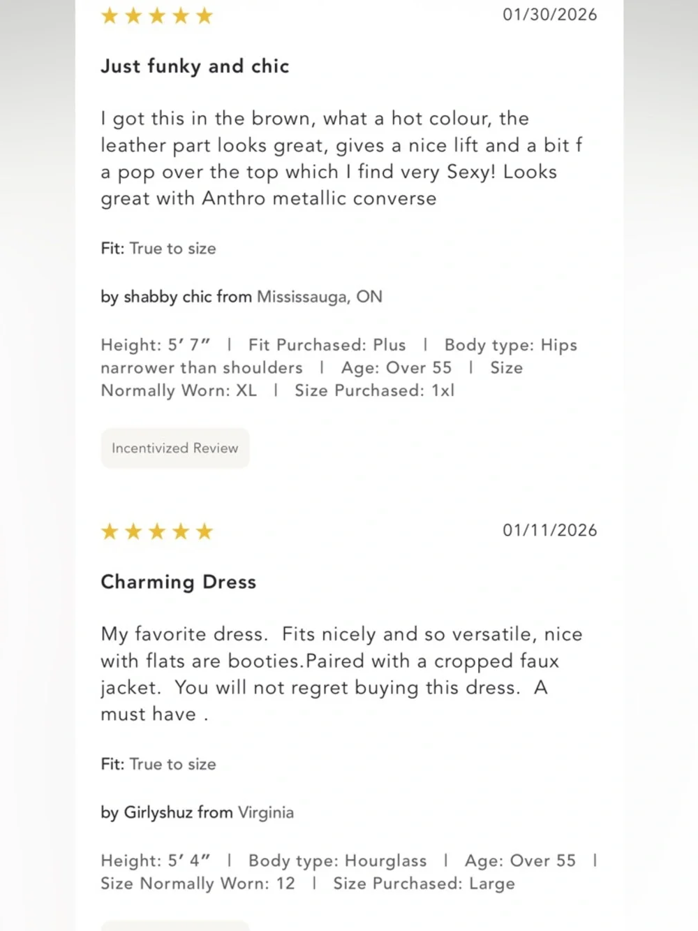 Anthropologie NWT Maeve Twofer Faux Leather Babydoll Dress size M - Picture 8 of 16